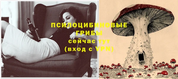 героин Богородицк